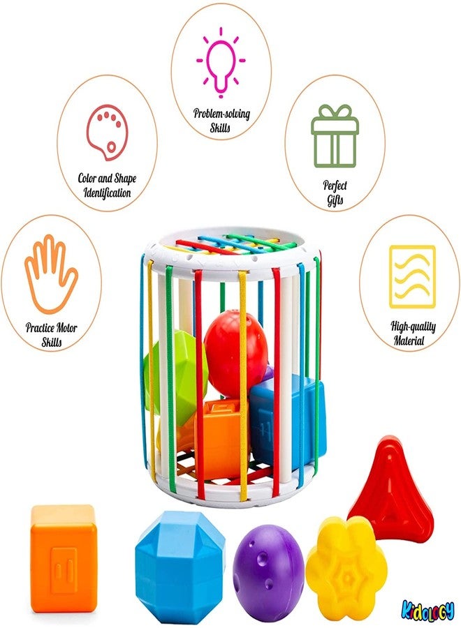 Kidology Baby Cylindrical Shape Sorting Toy | Montessori Sensory Toys with 6 Blocks Colorful Cube | Shape Sorting Bin with Elastic Bands Fine Motor Skill Early Learning Preschool Educational - Image 4